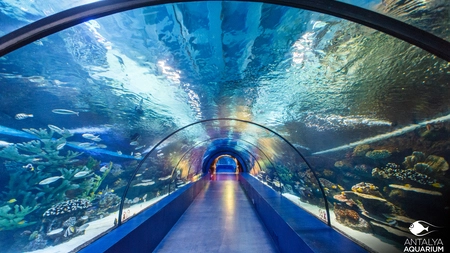 Antalya Aquarium