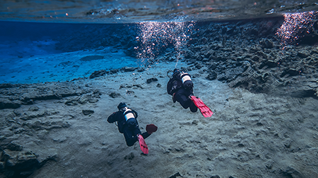 Snorkeling Tours